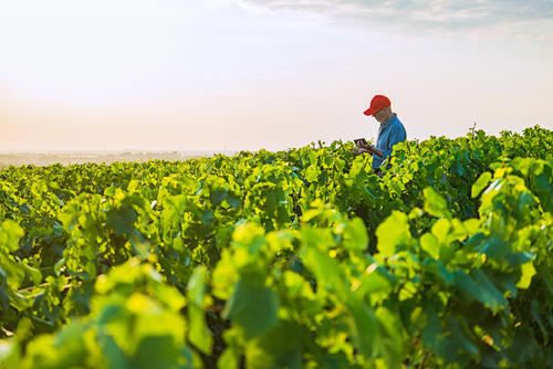 FBN是什么意思？跟亞馬遜FBA、FBM有什么關(guān)聯(lián)？